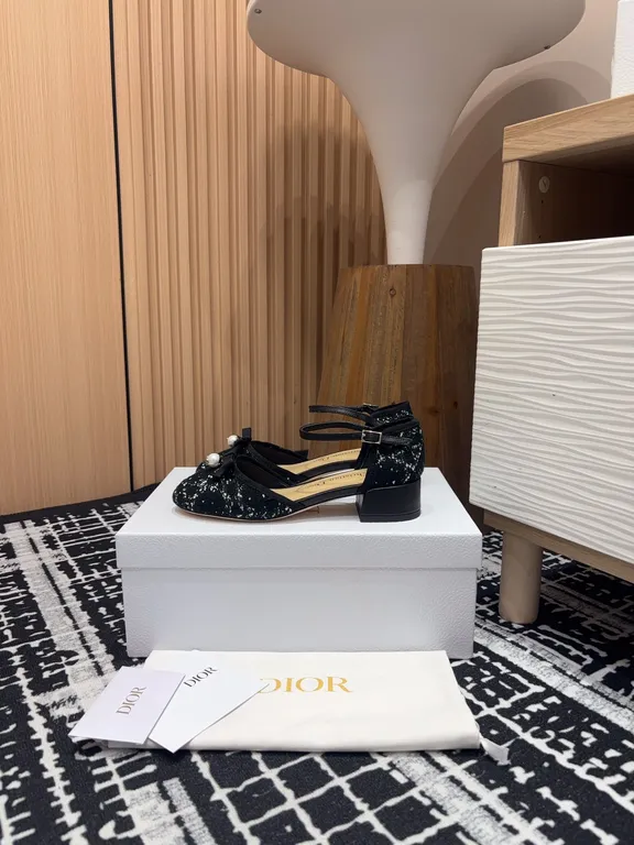 Dior Shoe 